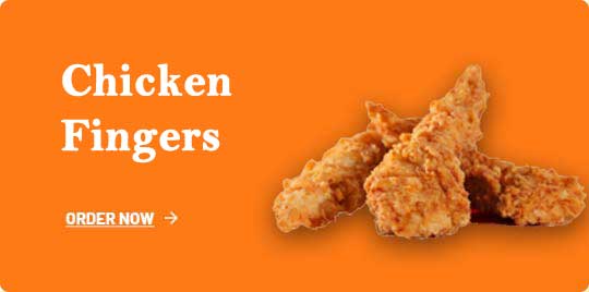 Chicken Fingers